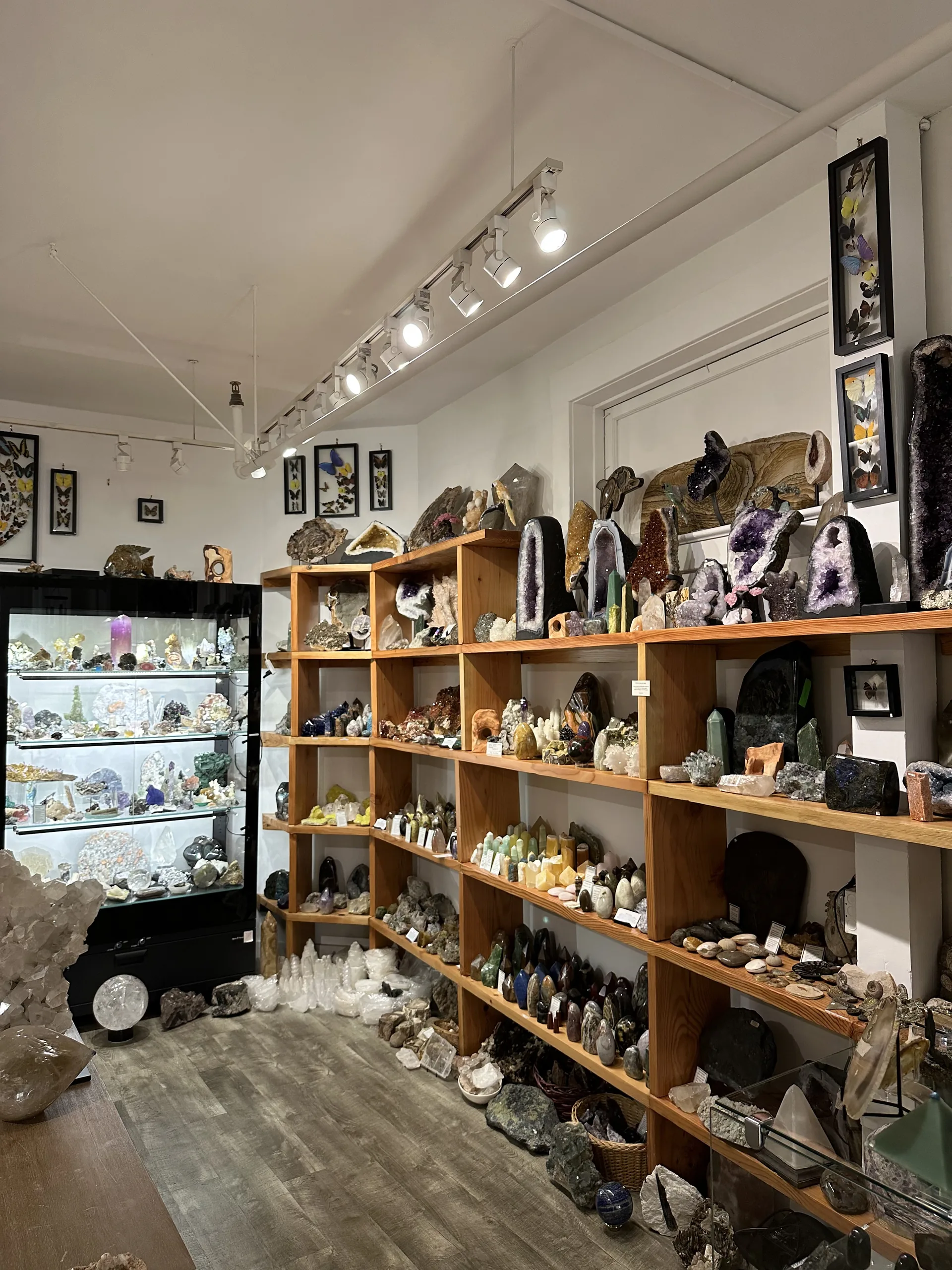 Inside the Stone Room shop — floor-to-ceiling shelves of mineral specimens